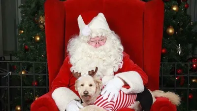 de Santa Claus Killer