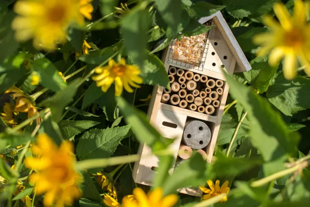Een klein insectenhotel