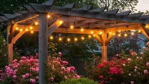 tuin - na zonsondergang
