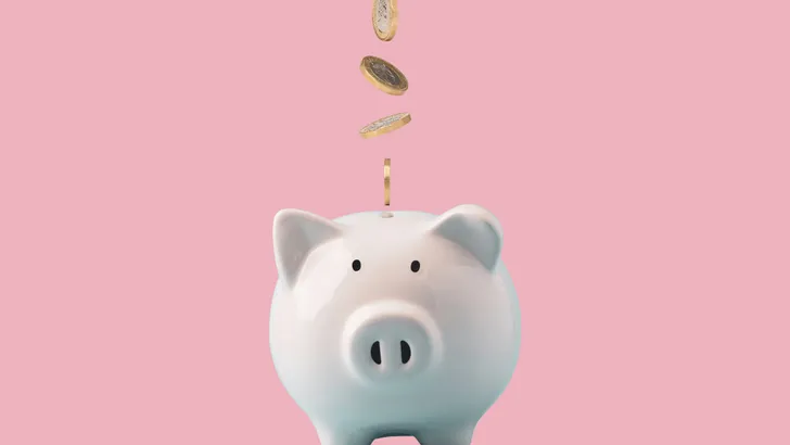 Spaarvarken met euro's erboven - spaarchallenges