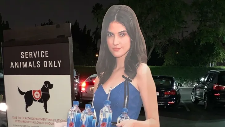 Fiji Water-meisje klaagt bedrijf aan vanwege ongevraagd reclame maken