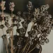 droogbloemen in een vaast