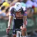 van der poel