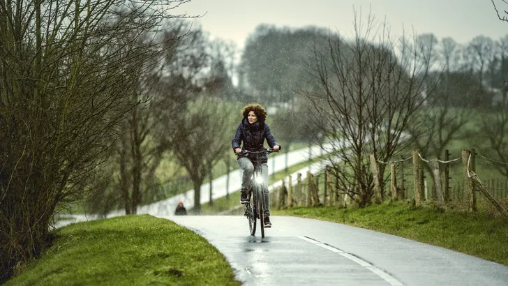 Gazelle winter ebike