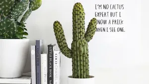 9x cactus items om je huis op te leuken