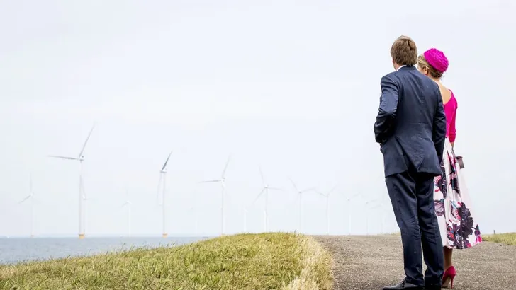 Goede voornemens: hoe groen zijn de royals?