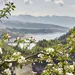 Trentino is de ultieme reisbestemming voor de lente. – Foto van het Val di Non in Trentino.