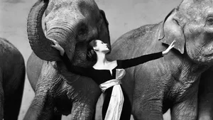 Richard Avedon