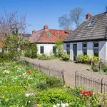 Street with old houses and colorful gardens in Zuidhorn