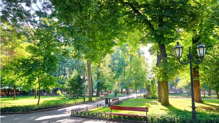 Stadspark