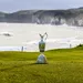 The Open