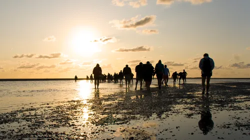 Wadlopers