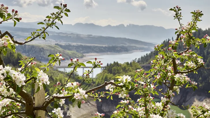 Trentino is de ultieme reisbestemming voor de lente. – Foto van het Val di Non in Trentino.
