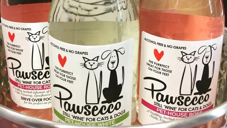 Er is nu 'Pawsecco': voor als je wijn wil drinken met je huisdier