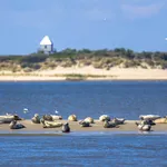 Waddeneilanden
