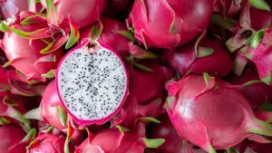 Dragon fruit 