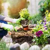 Hooikoorts? Zo creëer je een fleurige tuin zonder te snotteren | Beau Monde