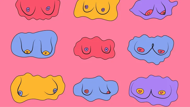 illustratie van verschillende borsten met verschillende tepels