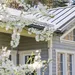 Lente-uitzicht: mooi huis met een bloeiende boom in de tuin