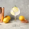 Waarom gin-tonic het ‘minst schadelijke’ drankje is, volgens experts | Gezondnu