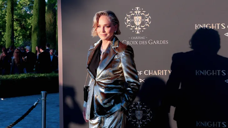 Van ambitieus acteur tot aanstaand arts: maak kennis met de knappe zonen van Sharon Stone. We doken in het leven van deze bescheiden Hollywood mini-me's!
