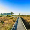 Ontdek het Drenthepad: een langeafstandsroute dwars door de natuur | Noorderland