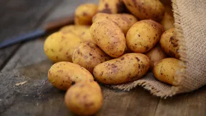 Aardappels bewaren