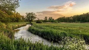 Claudia wandelt: de bossen van Drenthe