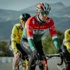'Dutch fanboy' Attila Valter roemt aanpak Team Visma | LAB: 'Er is geen land zoals Nederland wat betreft eerlijk- en directheid' | Wieler Revue