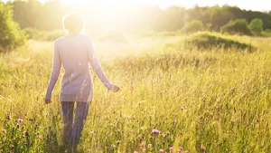 De paden op, de lanen in: Van wandelen word je gelukkig