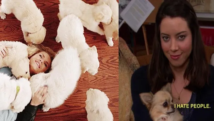 herkenbare situaties dierenlovers