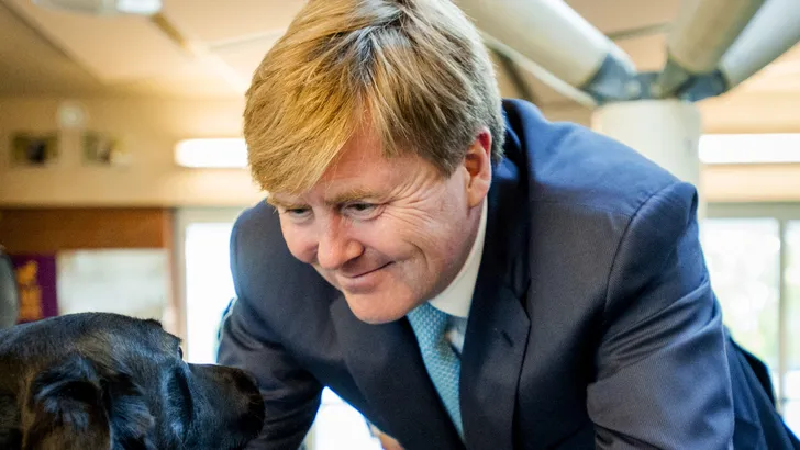 Het luizenleventje van de koninklijke witkuifkaketoe en meer royal pets