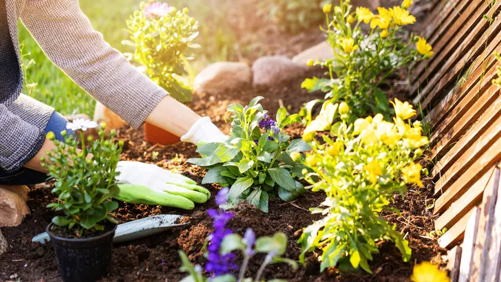 Waarom tuinieren zo goed voor je is