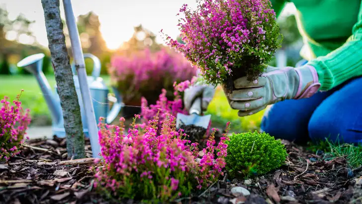 Vandaag begint het voorjaar! Dit kun je doen in de tuin in maart