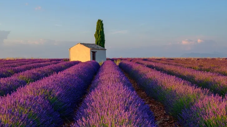 5 heerlijke boeken die zich afspelen in Frankrijk