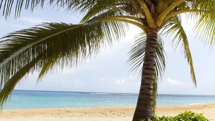 REISAANBIEDING NOUVEAU: 9-Daagse reis naar Jamaica