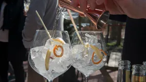 Hooikoorts? Drink dan Gin & Tonic in plaats van wijn