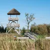 Kom helemaal tot rust: ontdek deze wandelroutes door Friese stiltegebieden | Noorderland