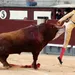 Matador op de horens gepakt door stier