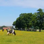 Platteland Overijssel