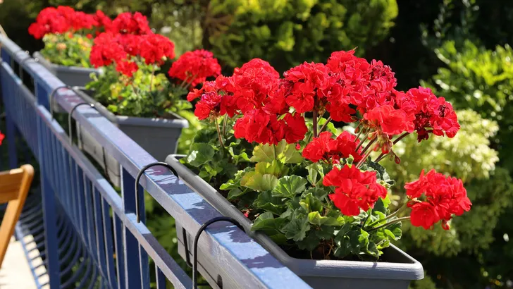 Fleur je balkon op