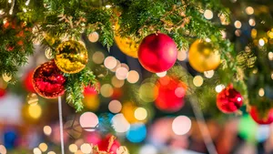Close-Up Of Christmas Tree