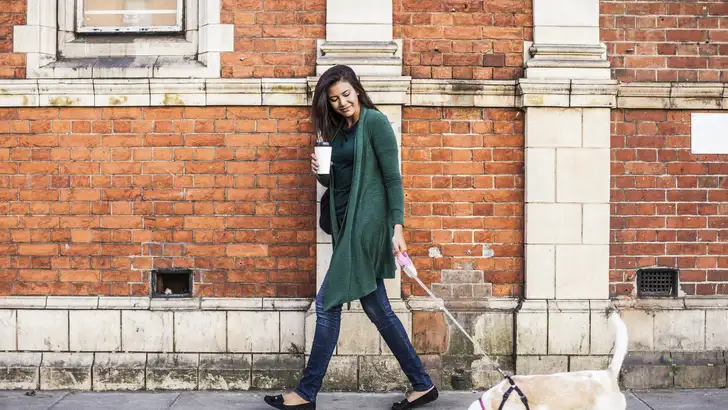 Hondenmensen hebben meer vrienden dan kattenmensen 