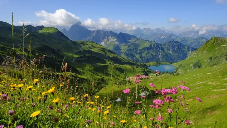 Geuren & kleuren: kruidenwandelingen in Oostenrijk 