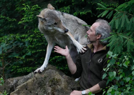 De Bruin is vrij close met de bewoners van Wolves Unlimited.