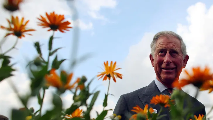 Prins Charles koopt bos voor prins George