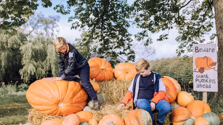 Herfstmarkten
