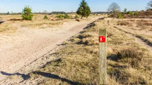 Drents-Friese Wold