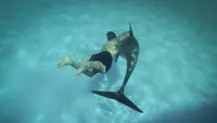 Bizar: Amerikaan had 6 maanden lang affaire met een dolfijn