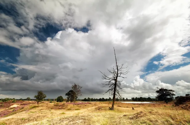 Nationaal Park Drents-Friese Wold